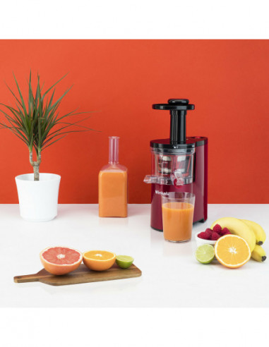 WINKEL SX24 EXTRACTEUR DE JUS