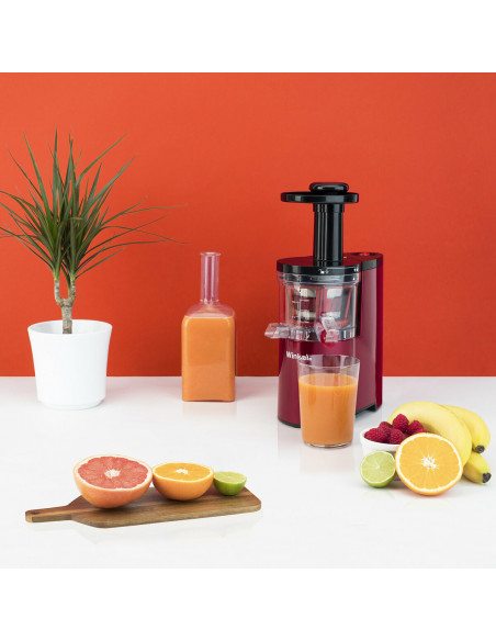 WINKEL SX24 EXTRACTEUR DE JUS