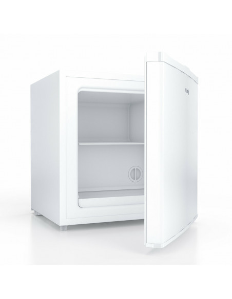 H.Koenig FGW400 - Mini congélateur pose libre 31L