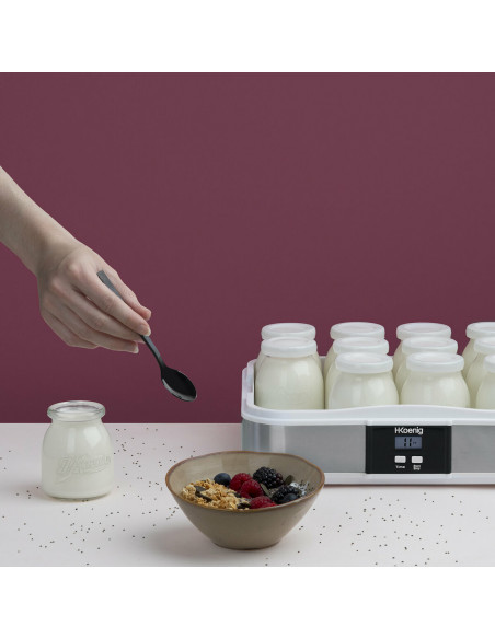 H.Koenig ELY120 - yaourtière 12 pots