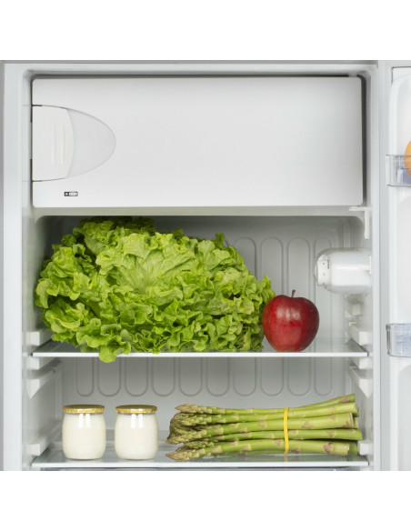 H.Koenig FGX890 - Réfrigérateur sous plan