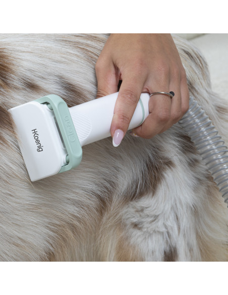 H.Koenig PAW400 - Aspirateur pour toilettage des animaux de compagnie