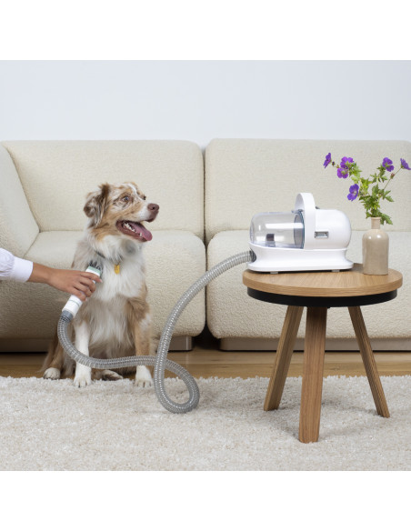 H.Koenig PAW400 - Aspirateur pour toilettage des animaux de compagnie