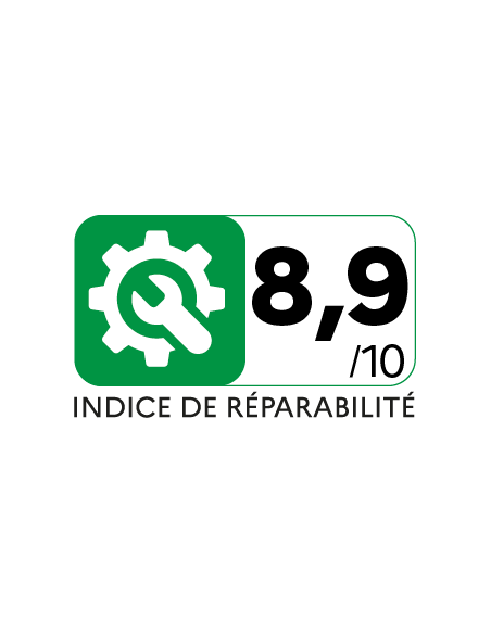 H.Koenig TCP85 - Aspirateur à main cyclonique