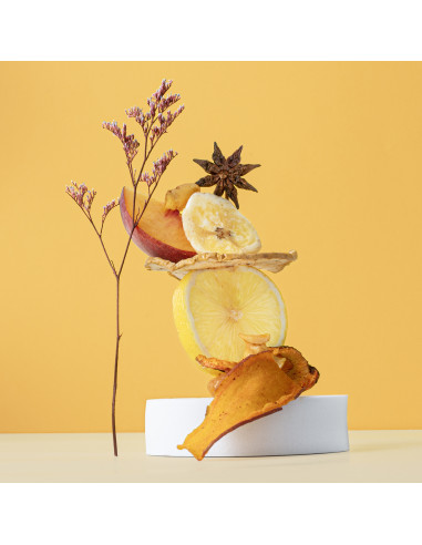 H.Koenig DSY900 - Déshydrateur...