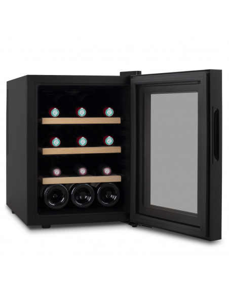 H.Koenig AGE12 - Refroidisseur à bouteille 12 bouteilles