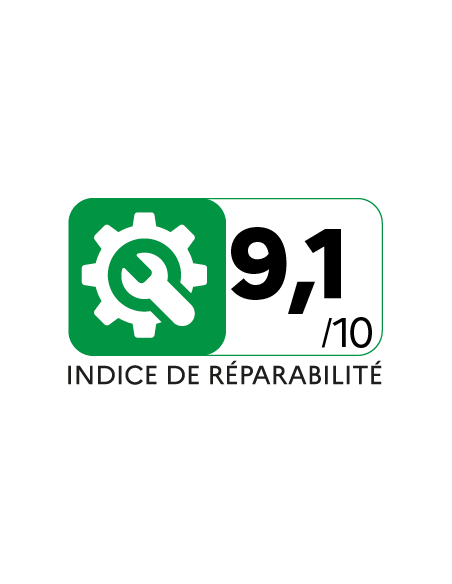 H.Koenig UP690 - Aspirateur balai 2 en 1 sans fil PowerFlex