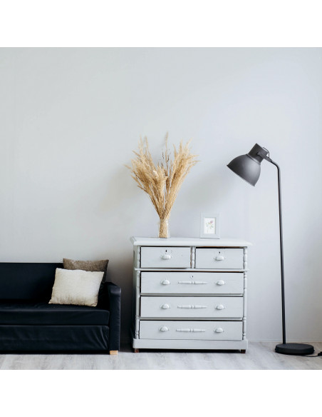 H.Koenig STC56 - aspirateur traîneau sans sac cyclonique