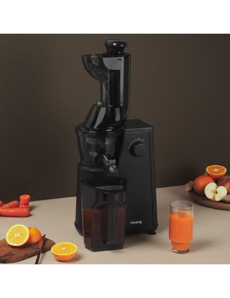 H.Koenig GSX24 - Extracteur de jus vertical