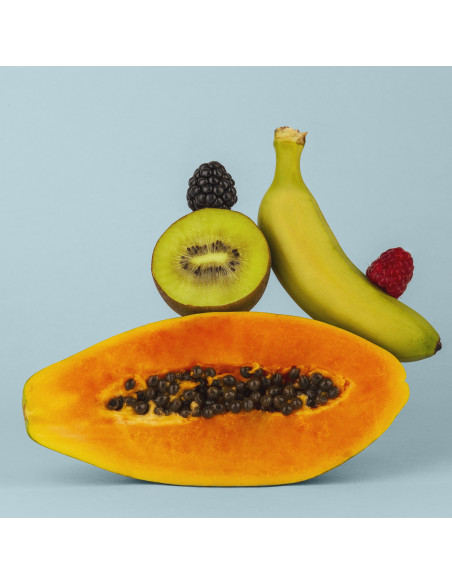 H.Koenig SMOO16 - Mini blendeur portable