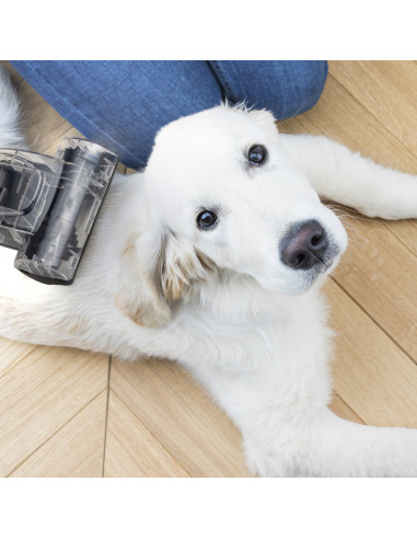 H.Koenig STC58 - aspirateur traineau...