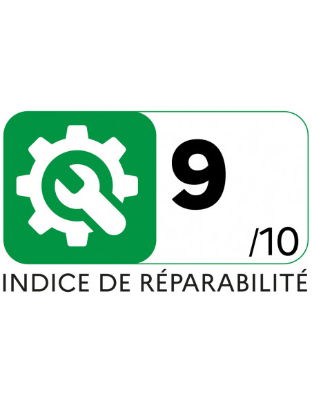 H.Koenig UP810 - Aspirateur balai 2 en 1 sans fil PowerClean