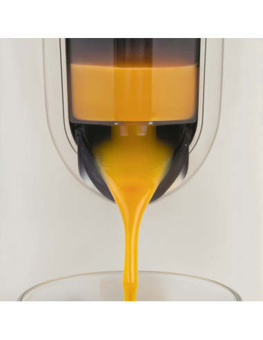 Sweiss ZEST8 - Presse-agrumes électrique