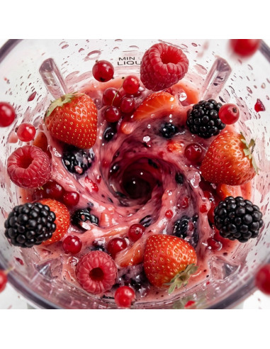 H.Koenig MOOTH16 - Mini blender...