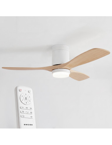 Sweiss FLOW22 - Ventilateur de...