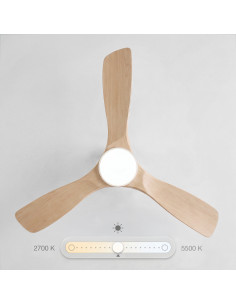 Sweiss FLOW22 - Ventilateur... 2