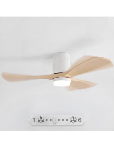 Sweiss FLOW22 - Ventilateur de...