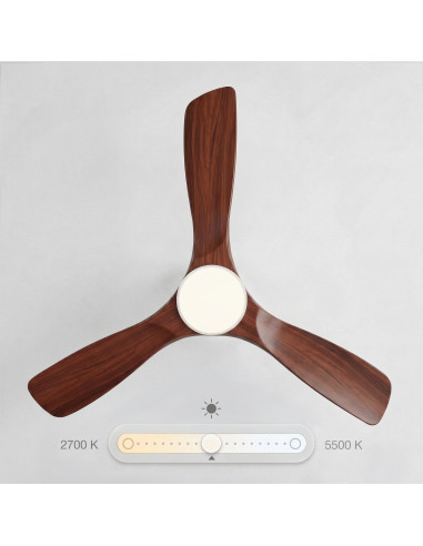 Sweiss FLOW26 - Ventilateur de...